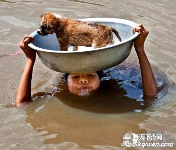 忍不住笑翻的酷图